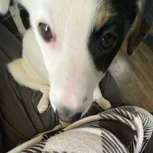 Meet your Posher, Audrey